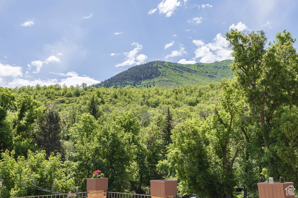 Mountain view with a forest