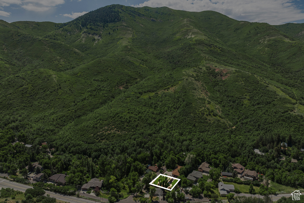 View of mountain backdrop with a heavily wooded area