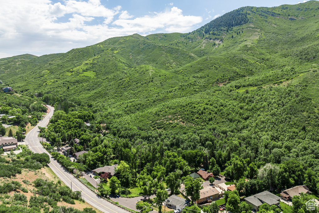 Drone / aerial view of a forest and mountains