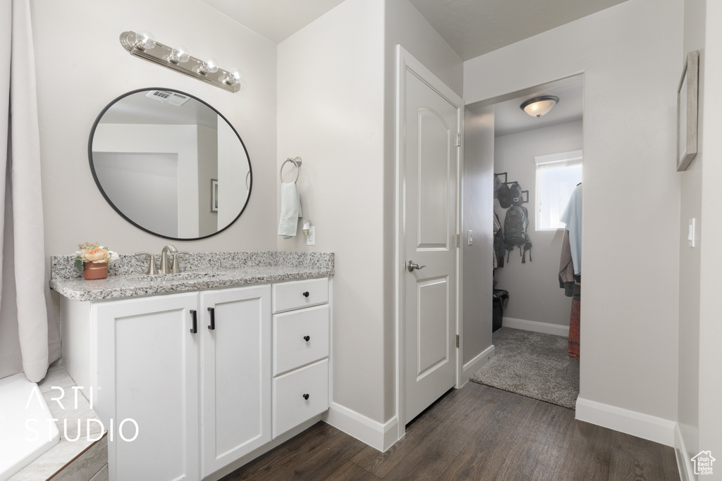 Bathroom featuring wood finished floors and vanity