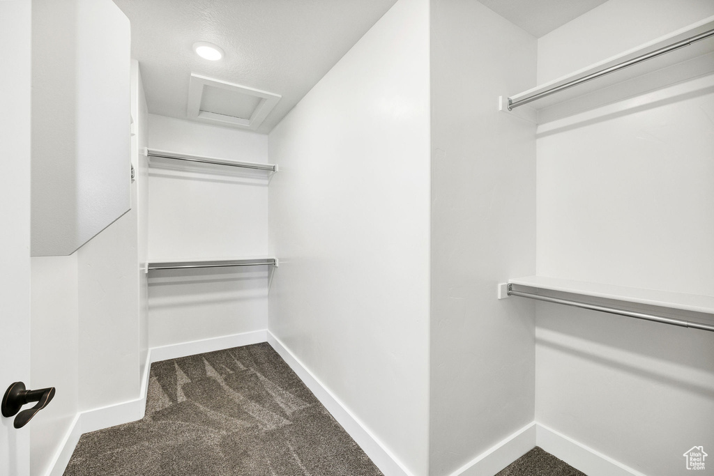 Spacious closet with dark colored carpet and attic access
