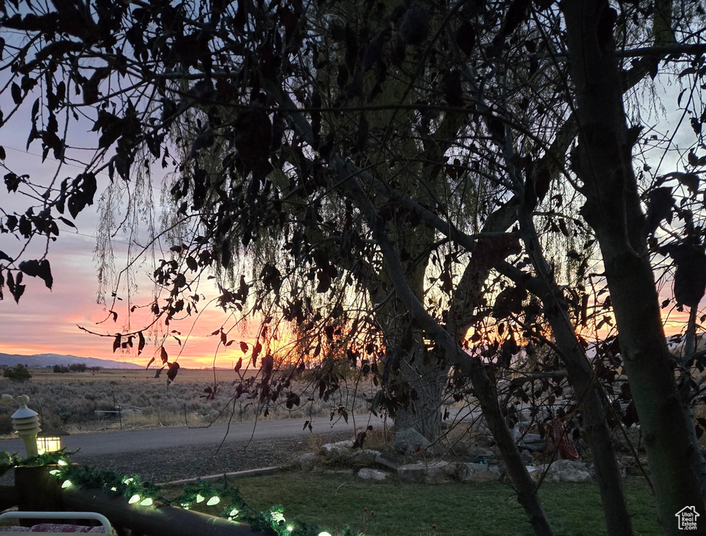 View of yard at dusk
