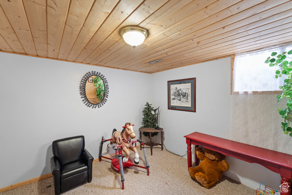 Living area with wooden ceiling and carpet