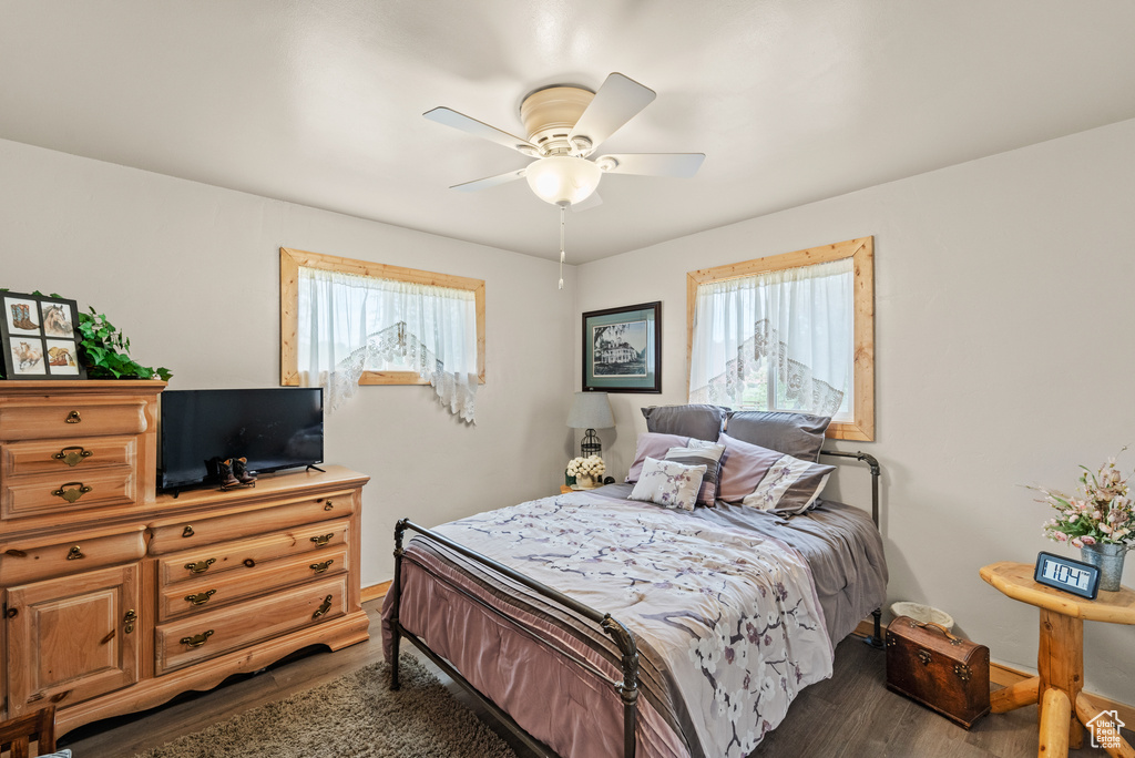 Bedroom with wood finished floors, multiple windows, and a ceiling fan