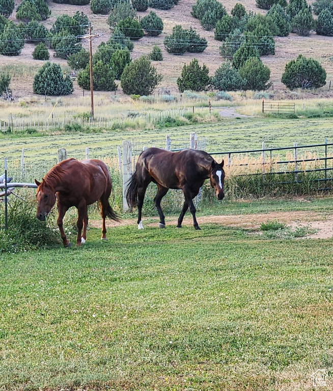 Stable with a rural view