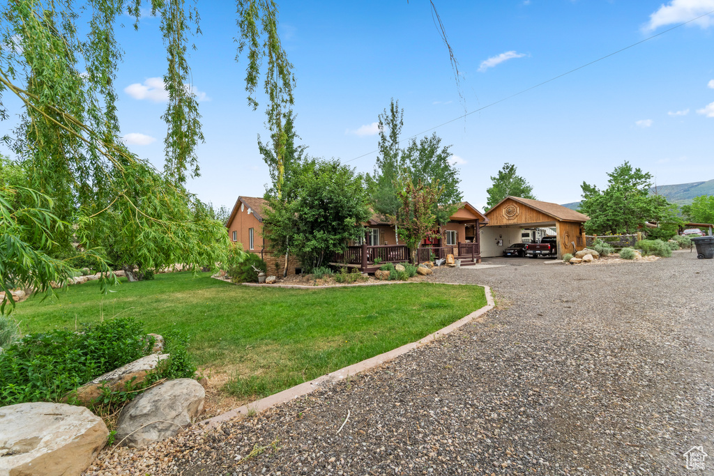 View of grassy yard featuring driveway and a carport