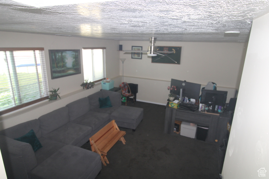 Living area featuring carpet flooring and a textured ceiling