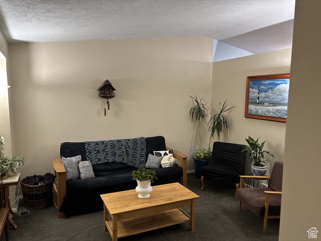 Living area with carpet, vaulted ceiling, and a textured ceiling