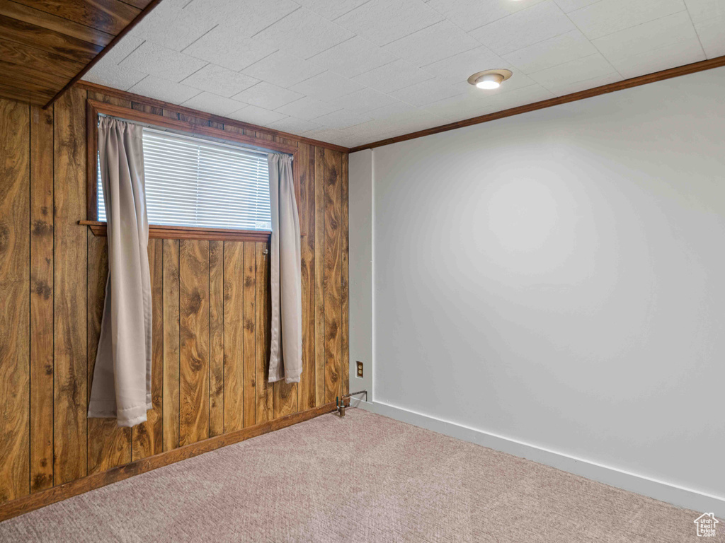 Carpeted spare room featuring wood walls and ornamental molding
