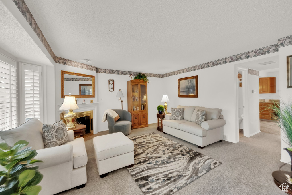 Carpeted living room with a textured ceiling and a fireplace