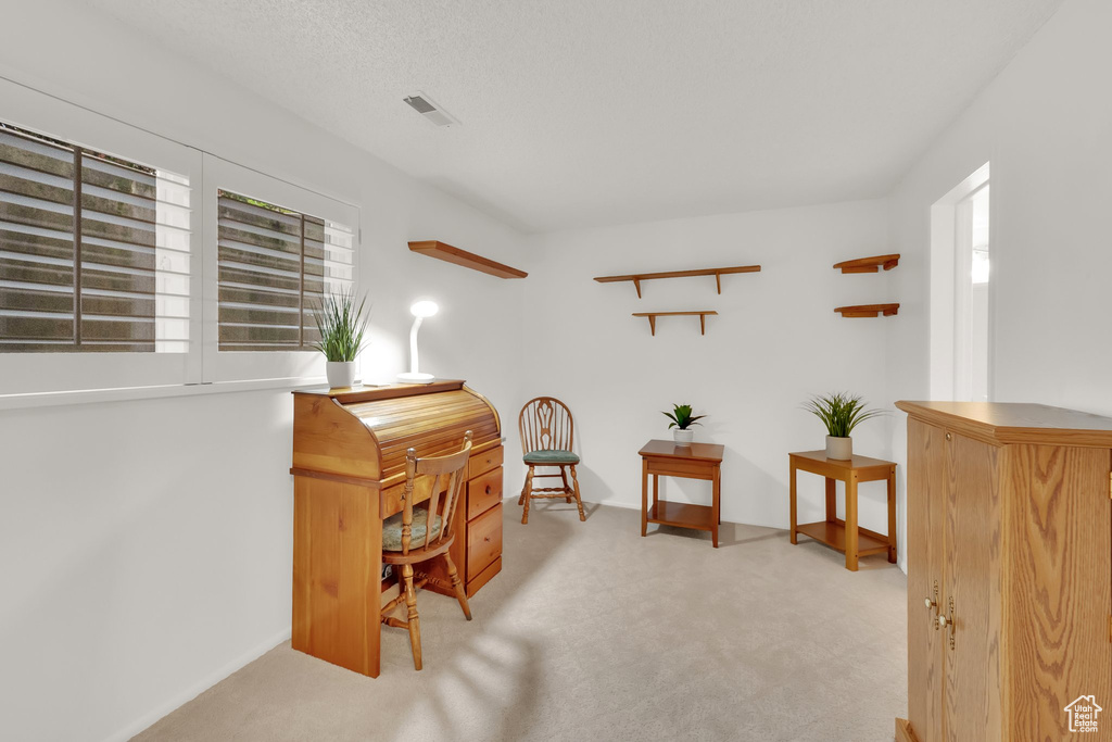 Living area featuring carpet floors and healthy amount of natural light