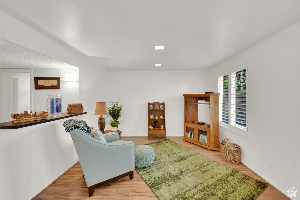 Living room featuring wood finished floors
