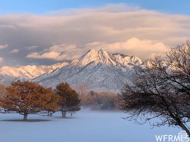 Mountain view