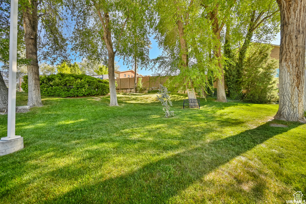 View of yard