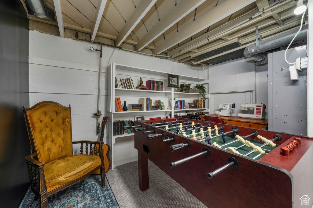 Rec room with carpet floors