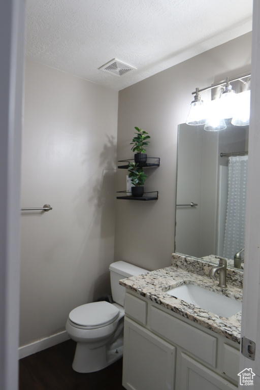 Bathroom with vanity, a textured ceiling, wood finished floors, and a shower with shower curtain