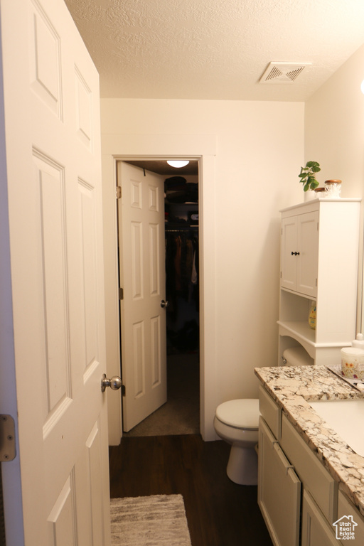 Bathroom featuring wood finished floors, vanity, and a textured ceiling