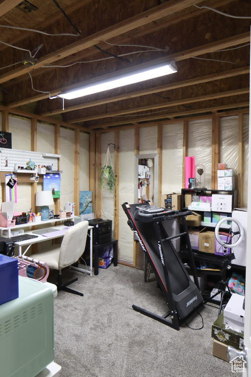Below grade area featuring carpet floors
