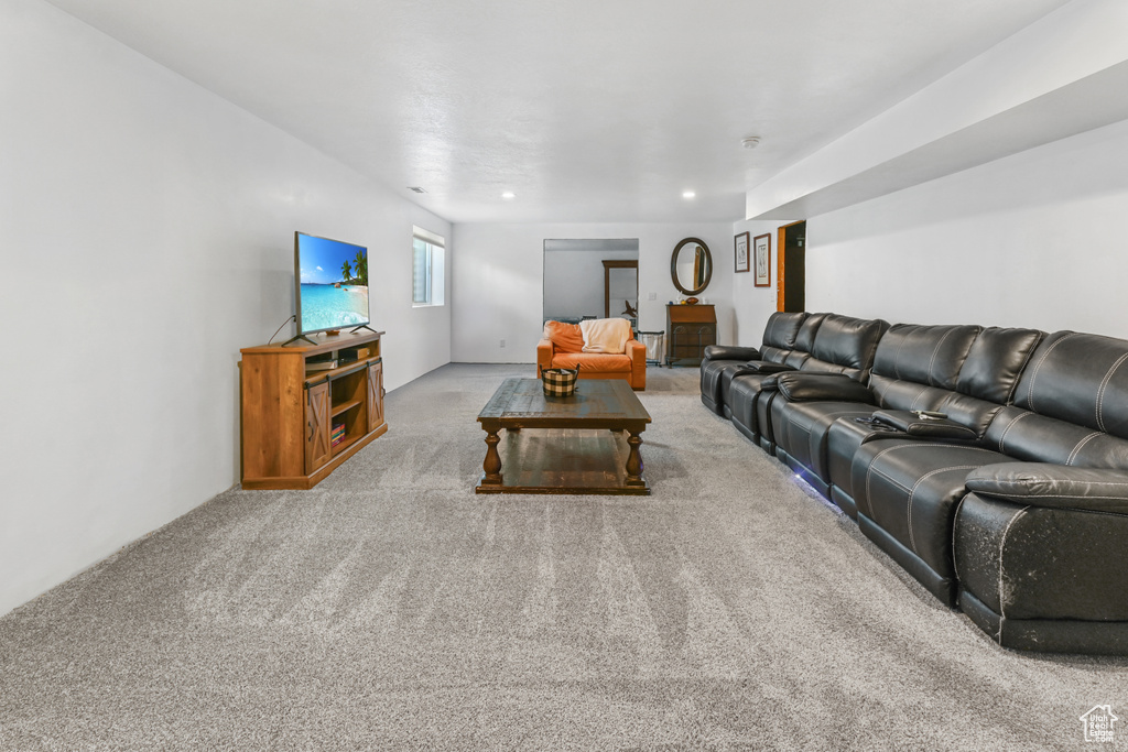 Living area with carpet floors