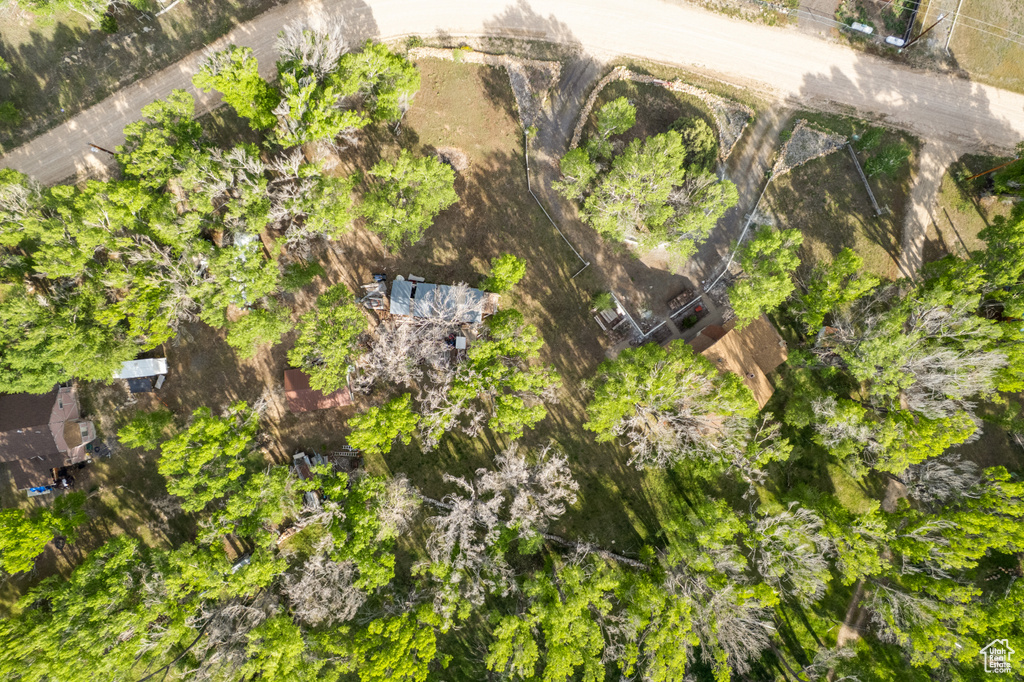 Bird\'s eye view