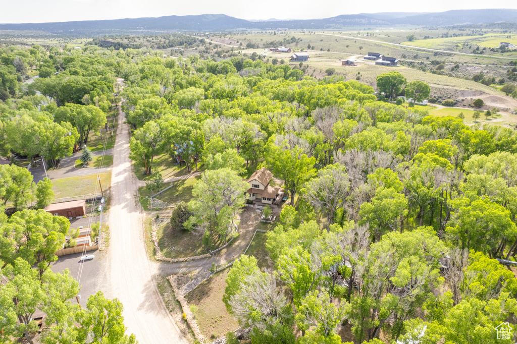 Drone / aerial view of a heavily wooded area