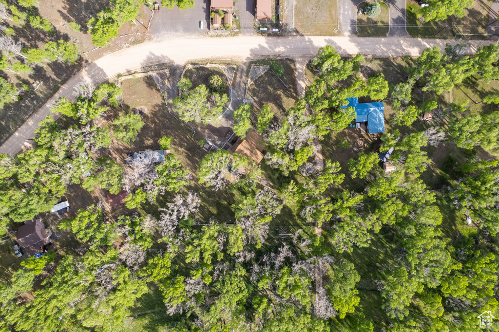 Bird\'s eye view