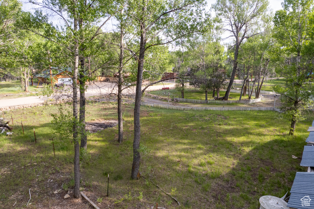 View of green lawn