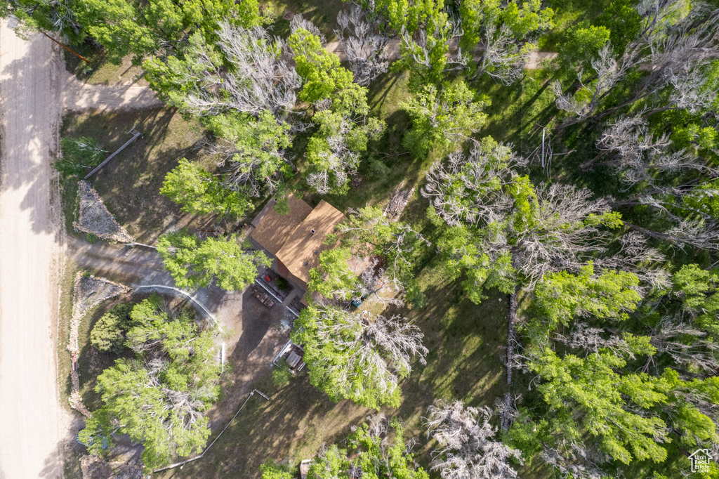 Bird\'s eye view