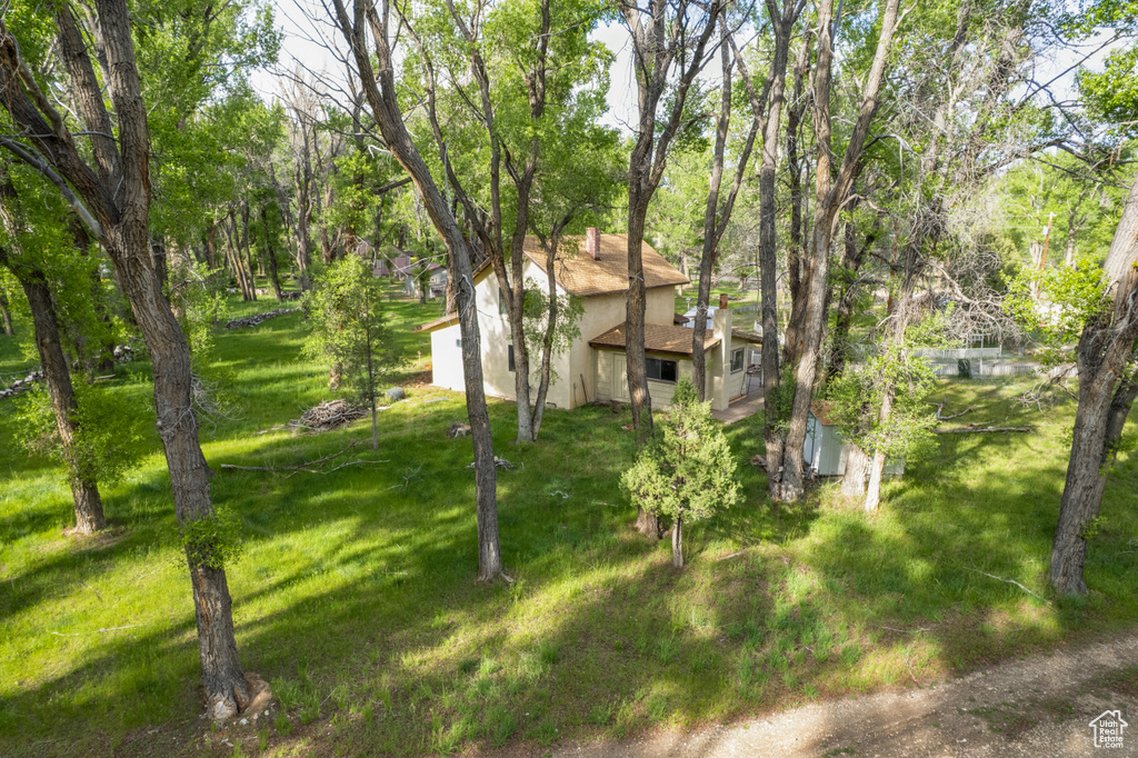View of grassy yard