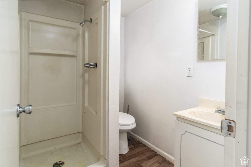 Bathroom with wood finished floors, a stall shower, and vanity