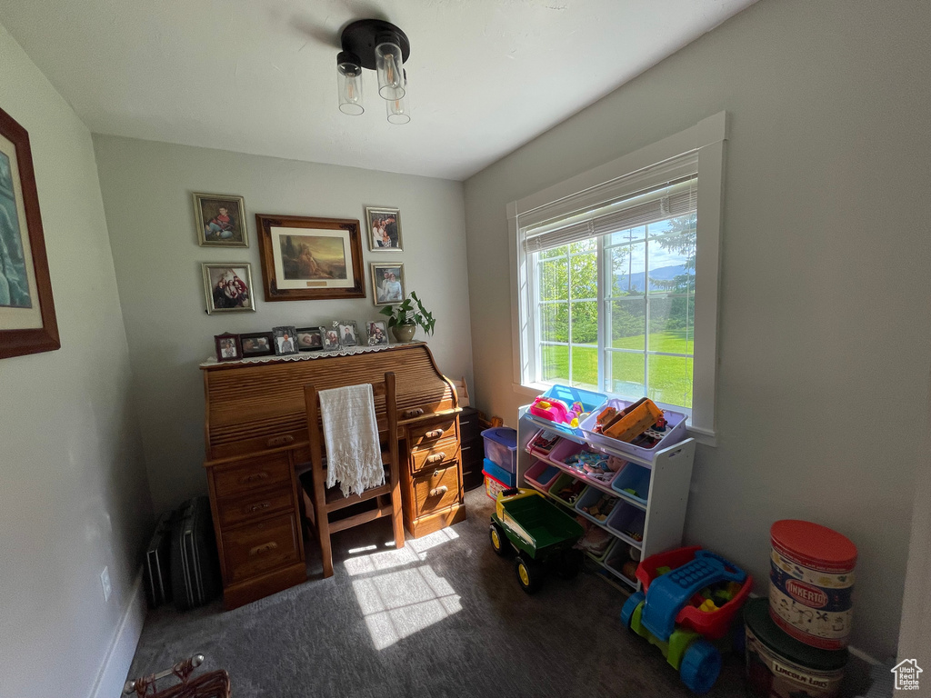 Home office featuring carpet floors and radiator