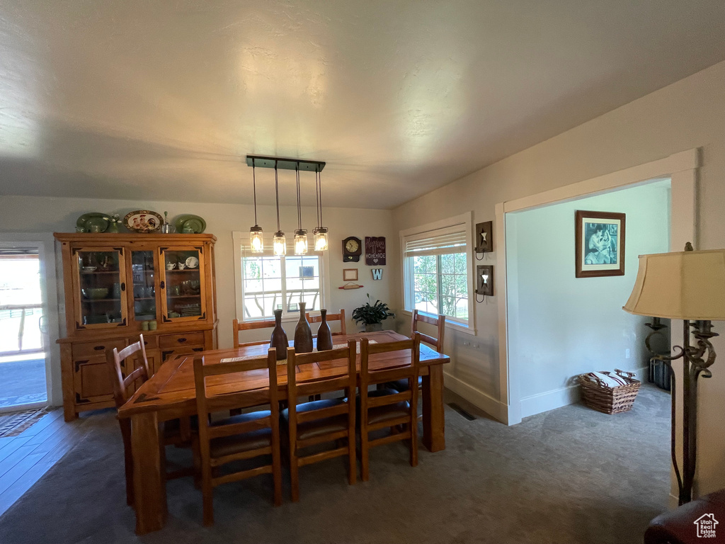 Dining room with baseboards and carpet floors