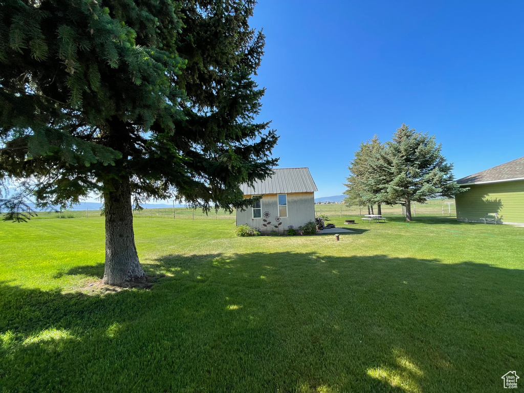 View of green lawn