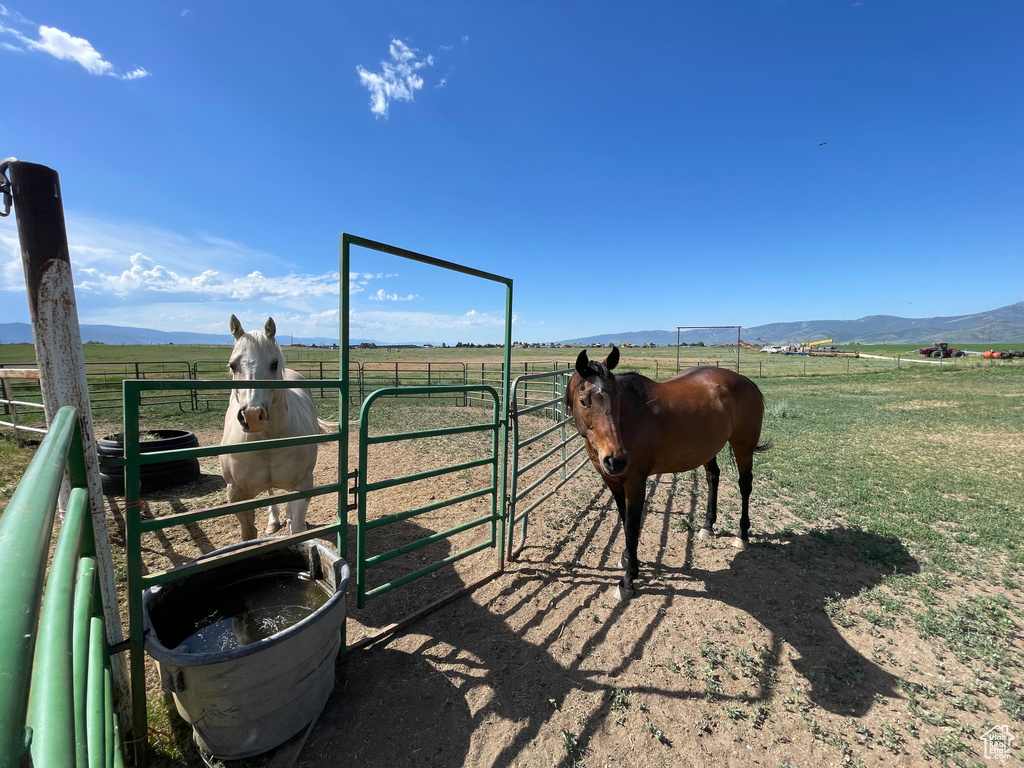 Stable with a view of countryside