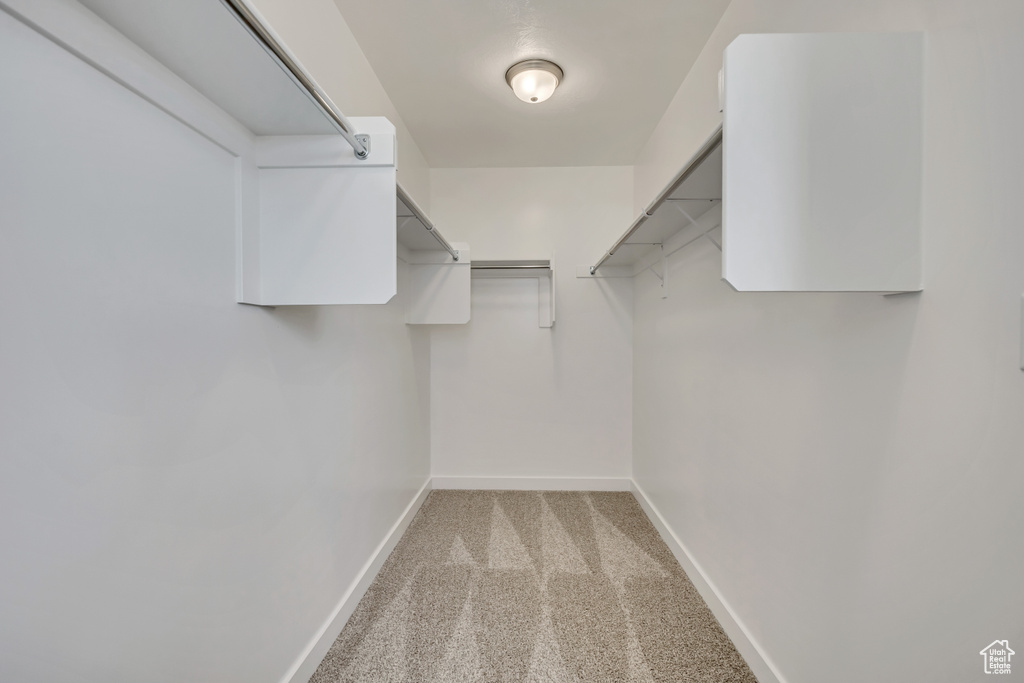 Spacious closet with light carpet