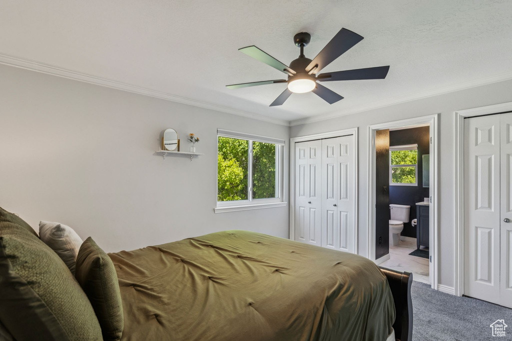 Carpeted bedroom featuring crown molding, multiple closets, connected bathroom, and ceiling fan