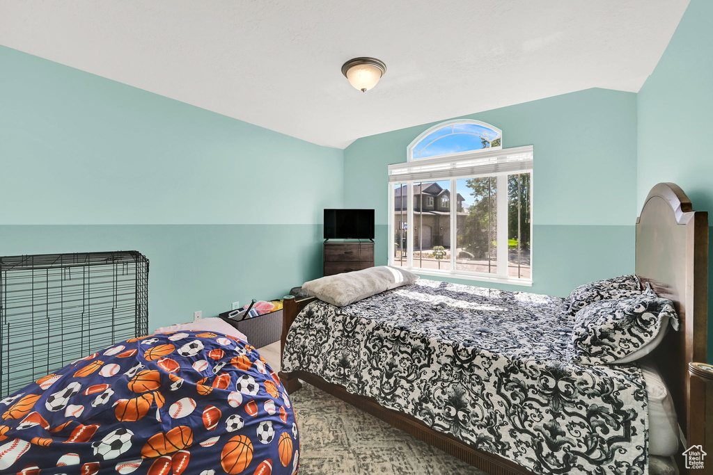 Bedroom featuring lofted ceiling