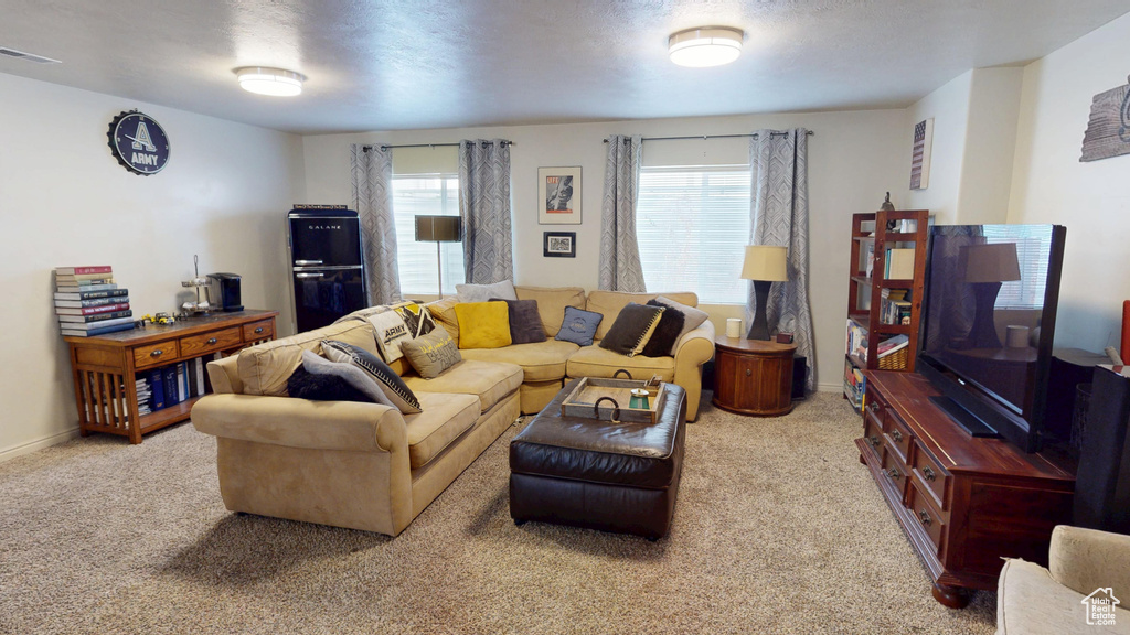 Living area with carpet flooring and baseboards