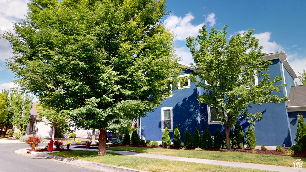 View of property hidden behind natural elements featuring stucco siding