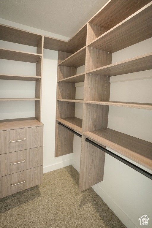 Walk in closet with light colored carpet