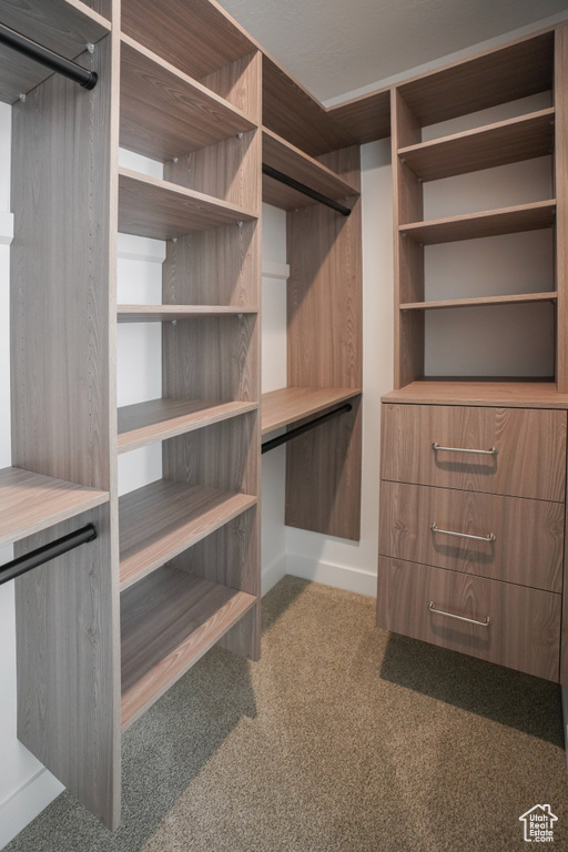 Walk in closet featuring carpet flooring