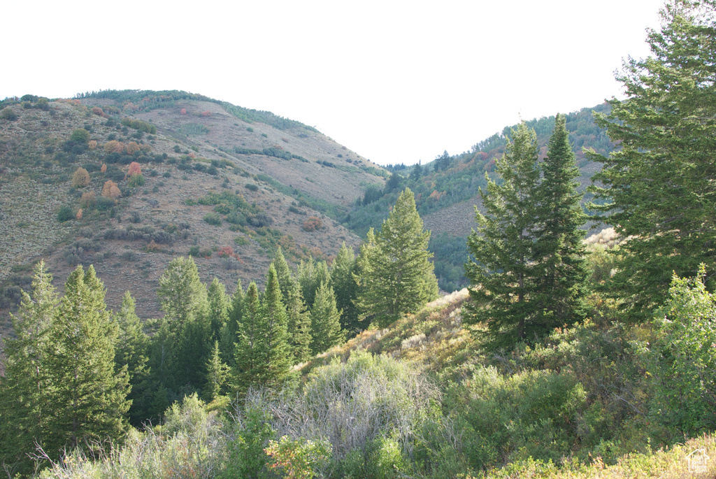 View of mountain backdrop