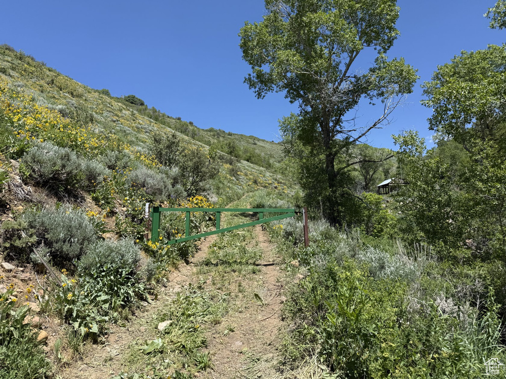 View of undeveloped land featuring mountains