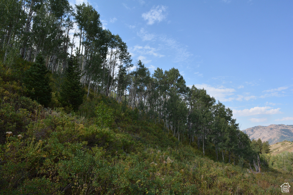 View of undeveloped land with a mountain backdrop