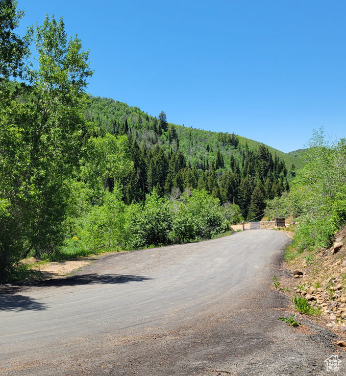 View of street featuring a view of trees