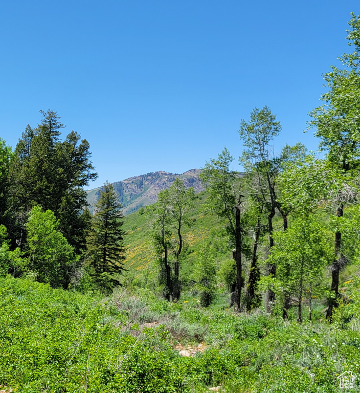 View of mountain backdrop