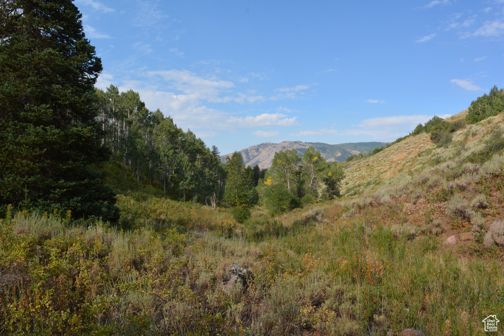 Mountain view