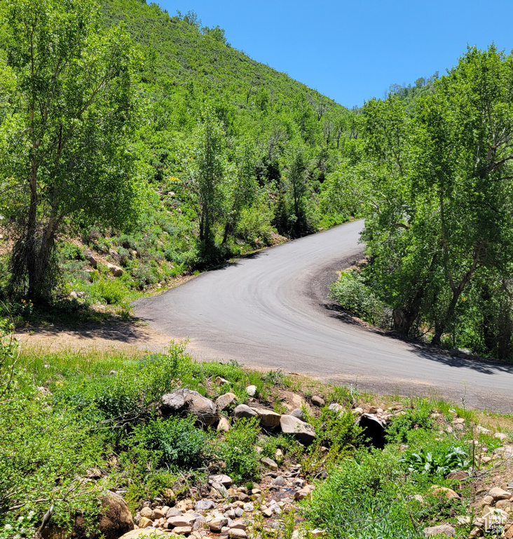 View of road with a view of trees and a mountain view