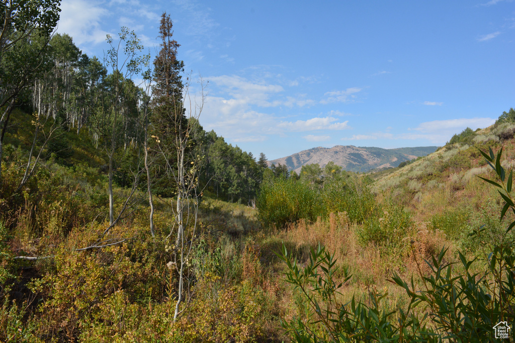 Mountain view