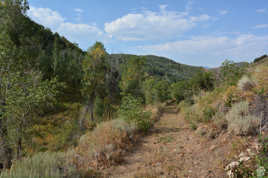 View of mountain backdrop featuring a forest